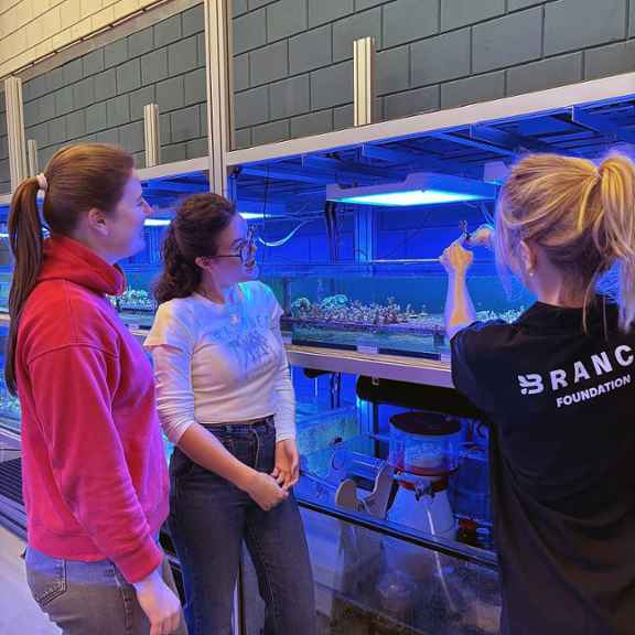 BRANCH Foundation huurt ook stagiaires in om te helpen bij onderzoek.