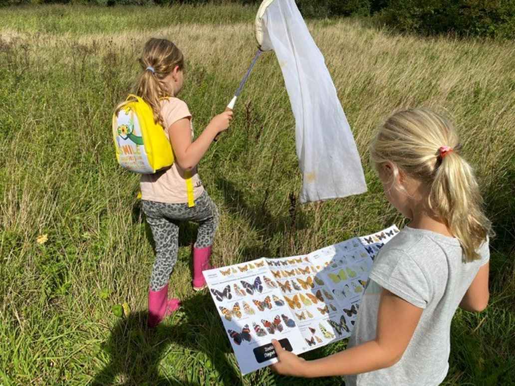 Vlinders vangen