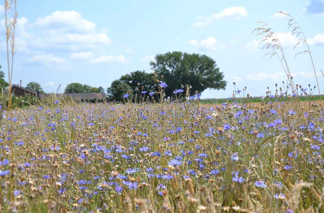 Een volle gereedschapskist voor natuurinclusieve boer en onderzoeker.
